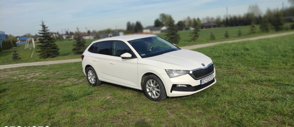 Skoda Scala cena 43900 przebieg: 238102, rok produkcji 2019 z Przecław małe 67